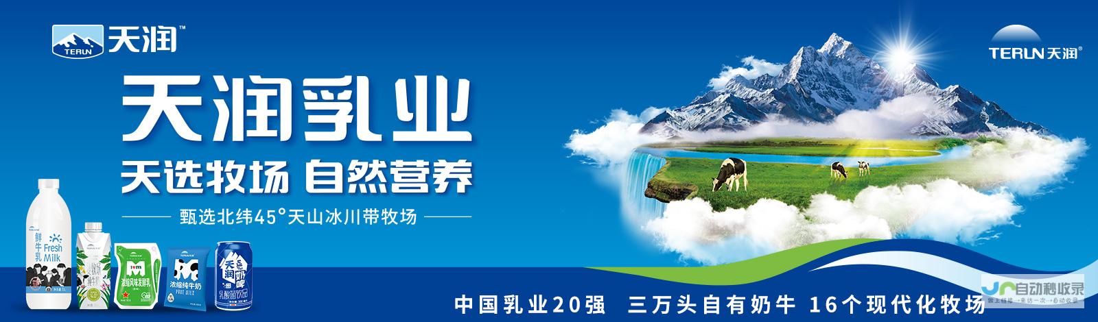 新疆网站推广策略：覆盖全域市场，提升用户体验，实现业绩突破